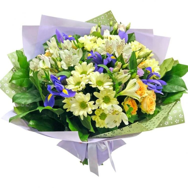 Белый ветер от 5 509 руб.